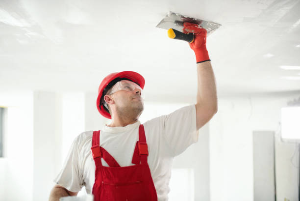 Best Interior Painting  in Bal Harbour, FL